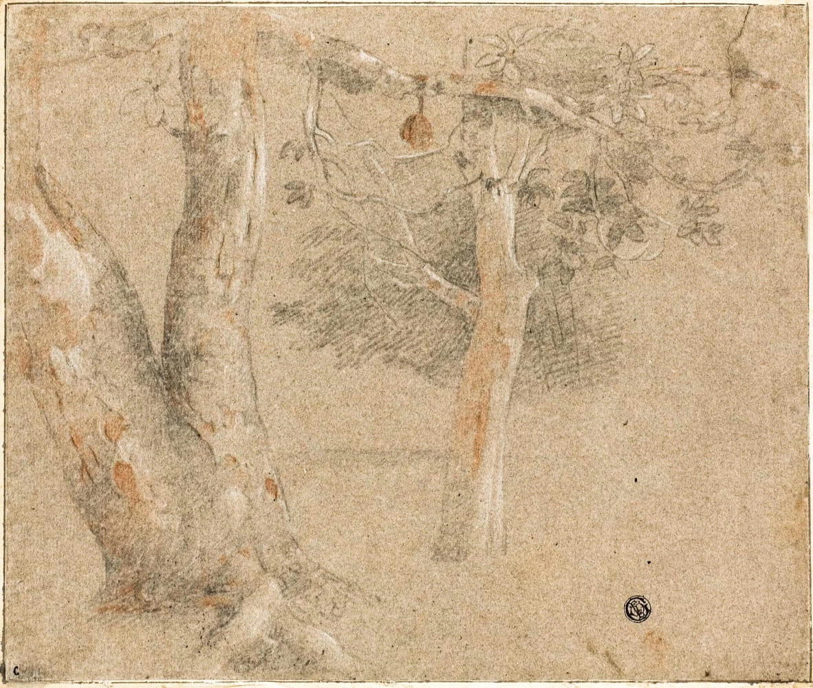 Studio di alberi - Art Institute of Chicago